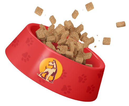 Dog_Bowl_s